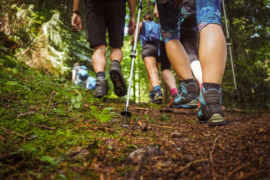 groupe de randonneurs dans un bois de montagne