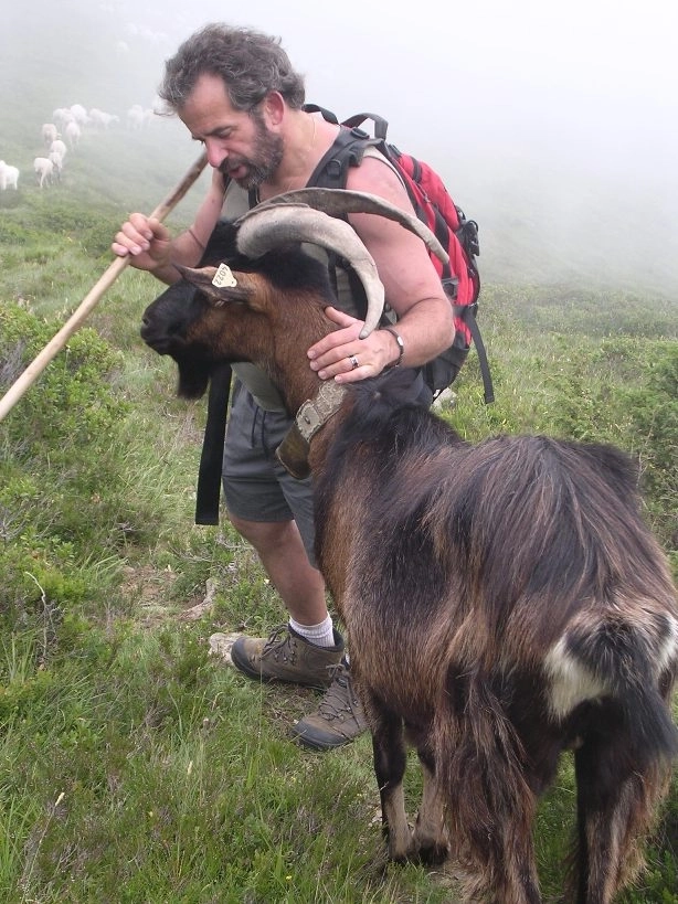 famille en randonnée dans les Pyrénées en période estivale